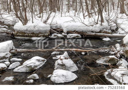 Oirase winter scene 75283568