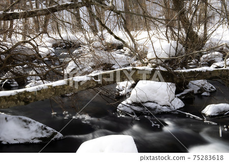 Oirase winter scene 75283618