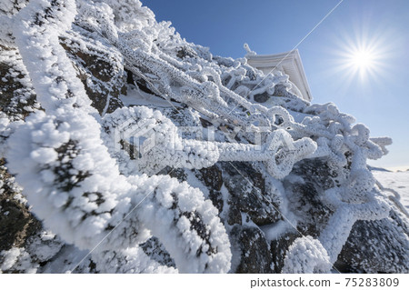 Frozen chain of Mt. Ishizuchi (Ehime Prefecture) Frozen chain of Mt. Ishizuchi (Ehime Prefecture) 75283809