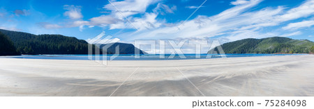 Beautiful panoramic view of sandy beach on Pacific Ocean Coast. 75284098