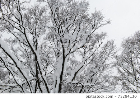 Snow world Sukayu Snow world Sukayu 75284130