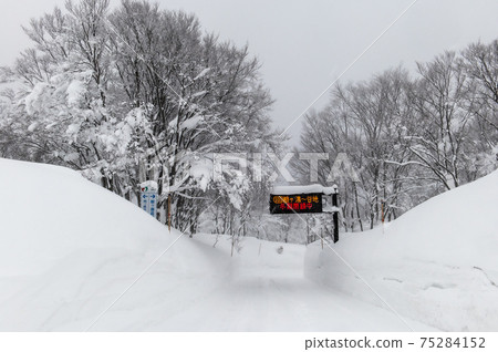 雪世界須賀湯 75284152