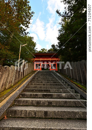 從琴平神社 75284807