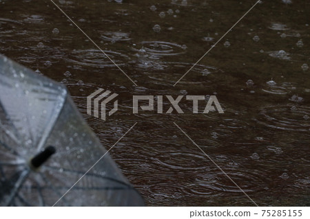 Ripples of rain 75285155