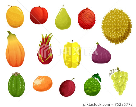 Fruits vector icons exotic tropical production set 75285772