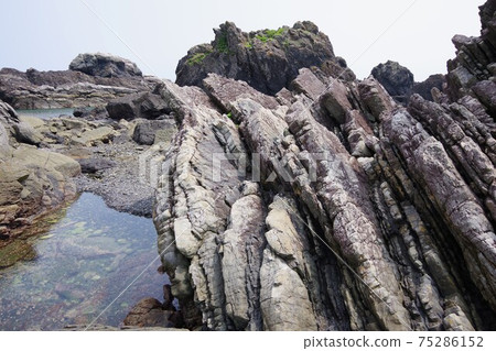 在高知縣室戶角海角海岸看到的濁質層 75286152