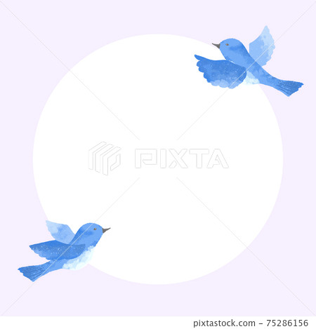 Blue bird frame with a gentle touch 75286156
