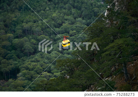 cabin of the aerial tram moves over wooded mountain slopes cabin of the aerial tram moves over wooded mountain slopes 75288273