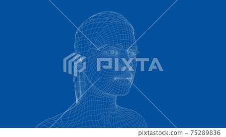 Wireframe portrait of a young beautiful girl Wireframe portrait of a young beautiful girl 75289836