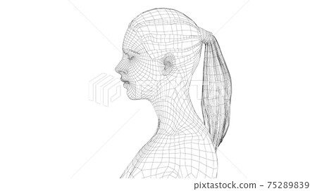 Wireframe portrait of a young beautiful girl 75289839