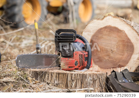 Forestry image of carving out a mountain Forestry image of carving out a mountain 75290339