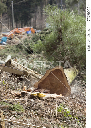The moment the tree collapses, the image of carving out a forestry mountain 75290604