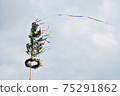 Maypole on a cloudy sky. 75291862