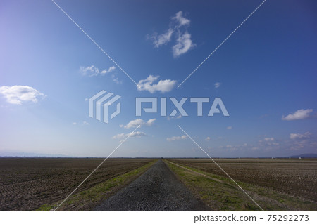 A vast farmland in Ogata village exposed to the light of early spring A vast farmland in Ogata village exposed to the light of early spring 75292273