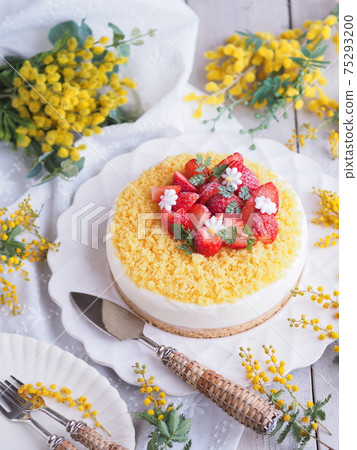 Mimosa Day Mimosa Cake 75293200