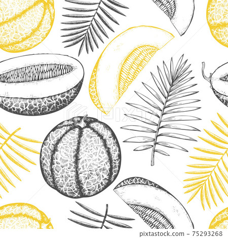 Melons with tropical leaves seamless pattern. Hand drawn vector exotic fruit illustration. Retro style fruit background. 75293268