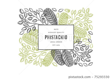 Hand drawn phistachio branch and kernels design template. Organic food vector illustration on white background. Retro nut illustration. Engraved style botanical banner. Hand drawn phistachio branch and kernels design template. Organic food vector illustration on white background. Retro nut illustration. Engraved style botanical banner. 75293330