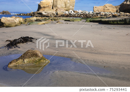 Takado Obama Beach, Takahagi City, Ibaraki Prefecture Takado Obama Beach, Takahagi City, Ibaraki Prefecture 75293441