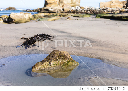 Takado Obama Beach, Takahagi City, Ibaraki Prefecture 75293442