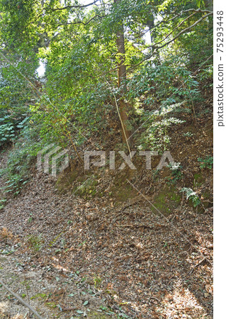 Walk along the Ryutetsu line: Oyaguchi Historical Park (Koganejoshi) Shoji moat 75293448