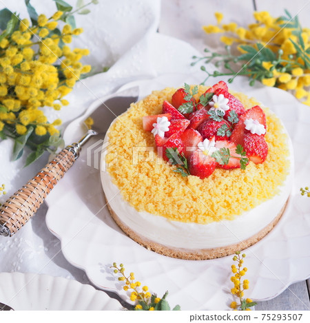 Mimosa Day Mimosa Rare Cheesecake 75293507