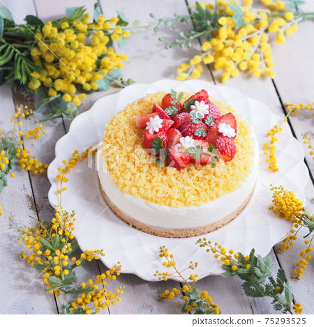 Mimosa Day Mimosa Cake 75293525