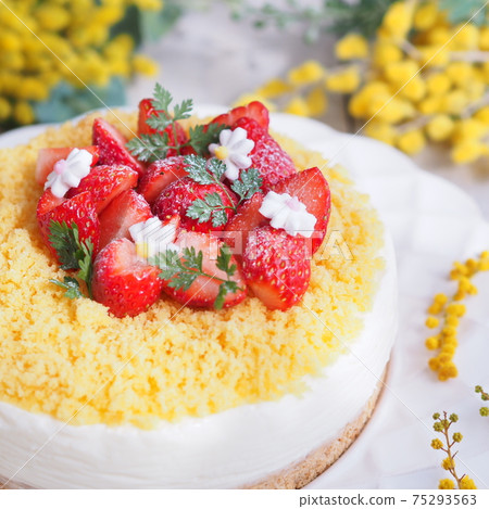 Mimosa Day Mimosa Rare Cheesecake Mimosa Day Mimosa Rare Cheesecake 75293563