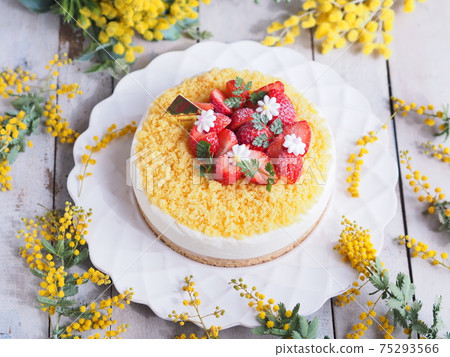 Mimosa Day Mimosa Cake Mimosa Day Mimosa Cake 75293566