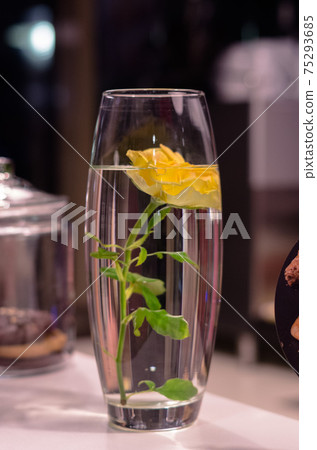 Yellow rose in a flowerpot. A flower under the water. Decoration from a flower. One rose in a vase. Yellow rose in a flowerpot. A flower under the water. Decoration from a flower. One rose in a vase. 75293685