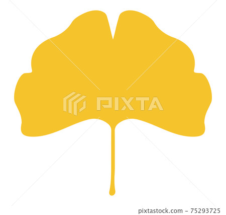Leaves of ginkgo biloba 75293725
