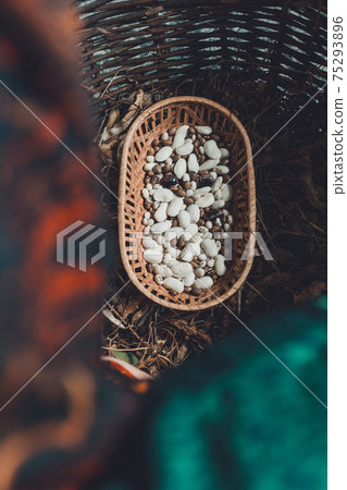 Stages of the white bean crop: dry unopened crop with ready dry beans of the same plant. Stages of the white bean crop: dry unopened crop with ready dry beans of the same plant. 75293896