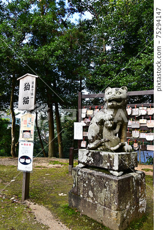 從琴平神社 從琴平神社 75294147