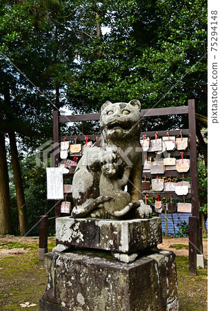從琴平神社 75294148