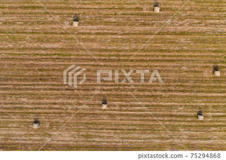 Harvesting hay for the winter, fodder for cattle, round bales in the field view from above. Harvesting hay for the winter, fodder for cattle, round bales in the field view from above. 75294868