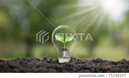 A tree growing on a coin in a light bulb plus a blurred green natural background earth day energy saving and environmental concept. A tree growing on a coin in a light bulb plus a blurred green natural background earth day energy saving and environmental concept. 75294875