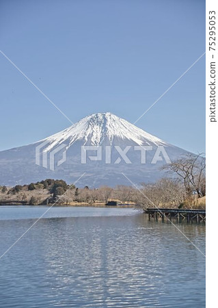 Mount Fuji  75295053