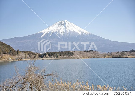 Mount Fuji  75295054