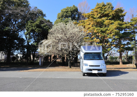 Camper and plum tree spring 75295160