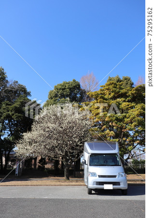 Camper Ume no Ki Spring 75295162