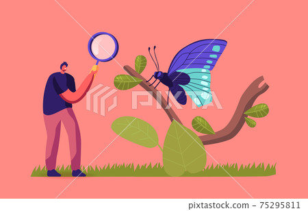 Entomologist Scientist or Amateur Character Search and Study Butterfly in Wild Nature and Fauna. Man with Magnifier 75295811