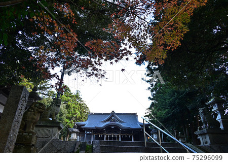 從琴平神社 從琴平神社 75296099