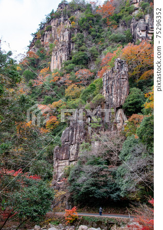 Magnificent cliffs and autumn leaves of Gokei with people, Soja City, Okayama Prefecture 75296352