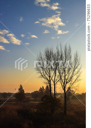 Watarase Seto的早晨 Watarase Seto的早晨 75296633
