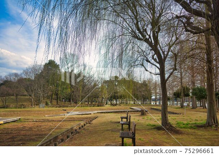 View of the park 75296661