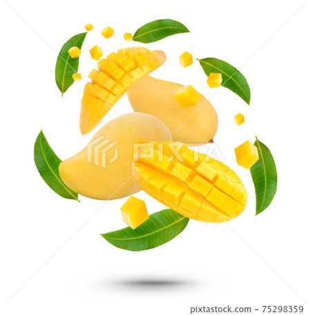 King of fruits, Mango fruit and sliced with leaves isolated on white background 75298359