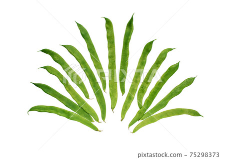 Green flat runner bean pods heap isolated on white Green flat runner bean pods heap isolated on white 75298373