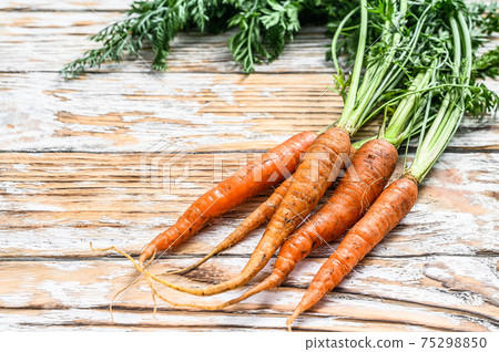 Freshly dug fresh carrots. White background. Top view 75298850
