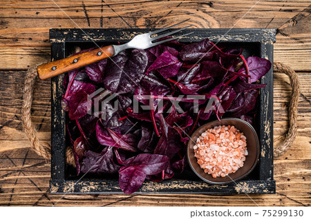 Fresh raw Swiss Ruby or red chard salad Leafs in a wooden tray. wooden background. Top view Fresh raw Swiss Ruby or red chard salad Leafs in a wooden tray. wooden background. Top view 75299130