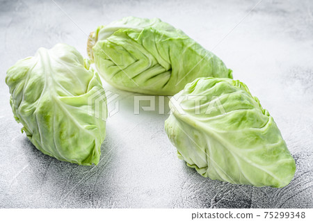 Raw Pointed white cabbage head. White background. Top view 75299348