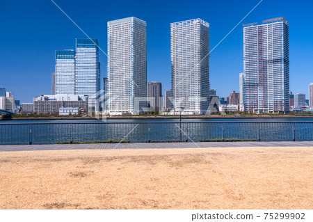 《Tokyo》 Harumi / Cityscape 《Tokyo Bay Area》 《Tokyo》 Harumi / Cityscape 《Tokyo Bay Area》 75299902